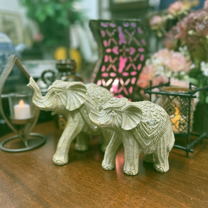 ������ƥ��å�����ե���� S �� ���� ɡ�夲 ����ƥꥢ ���쥯����� ������ơ��� ���ե� HX3056