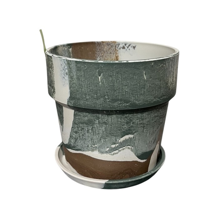 �����Х�ץ��ĥݥå� �Υ�ǥ��å� 5�� 81084 ���� ��ʪ ����ʪ ȭ ����ȭ �ץ�󥿡� �ץ��ĥݥå� �ޡ��֥� �ꥵ�������Ǻ� ���� ������� ľ��16.5cm