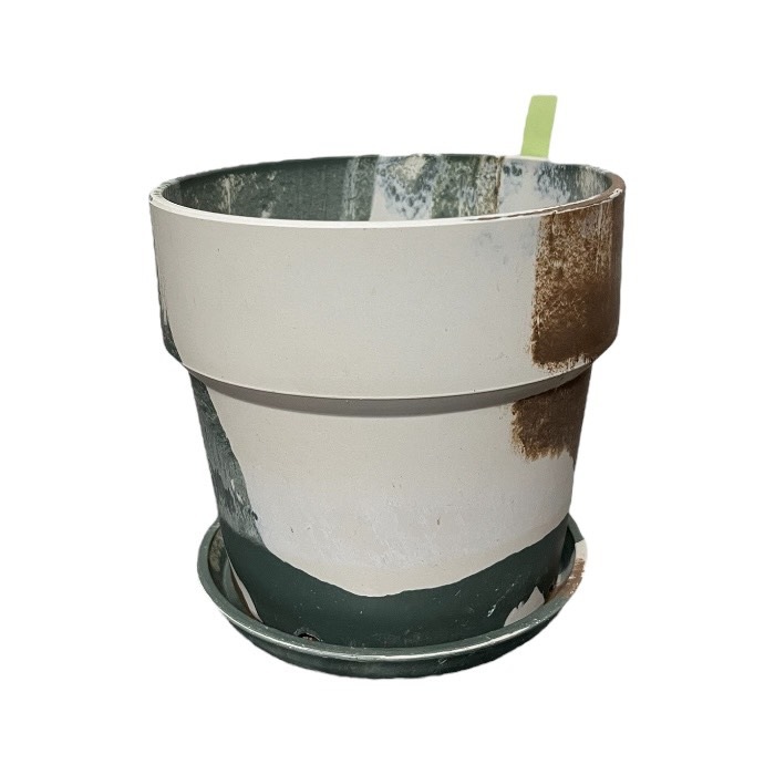 �����Х�ץ��ĥݥå� �Υ�ǥ��å� 5�� 81084 ���� ��ʪ ����ʪ ȭ ����ȭ �ץ�󥿡� �ץ��ĥݥå� �ޡ��֥� �ꥵ�������Ǻ� ���� ������� ľ��16.5cm