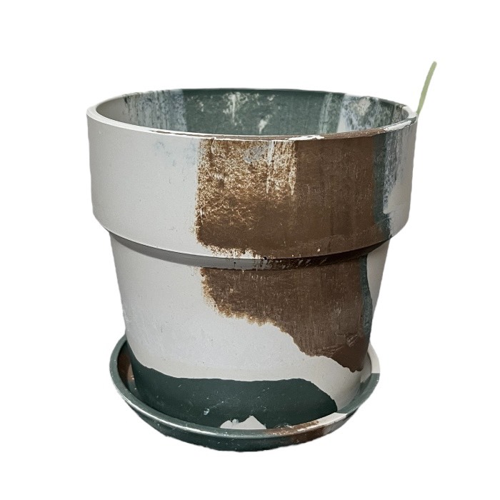 �����Х�ץ��ĥݥå� �Υ�ǥ��å� 5�� 81084 ���� ��ʪ ����ʪ ȭ ����ȭ �ץ�󥿡� �ץ��ĥݥå� �ޡ��֥� �ꥵ�������Ǻ� ���� ������� ľ��16.5cm