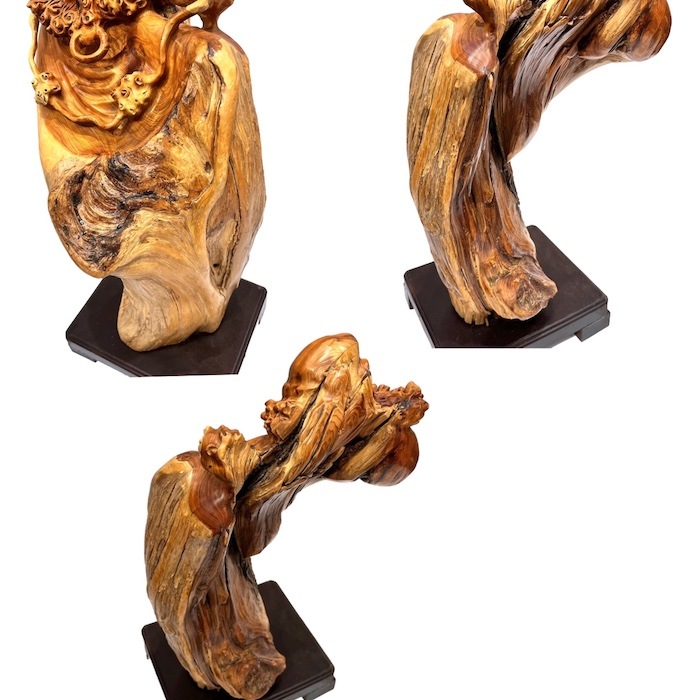 H-78 ����ã�� ����� �� ��Ħ�� �֤�ʪ ���֥��� ������� �ץ�ߥ��ॳ�쥯����� �¼� ���� ����ƥꥢ ���δ�