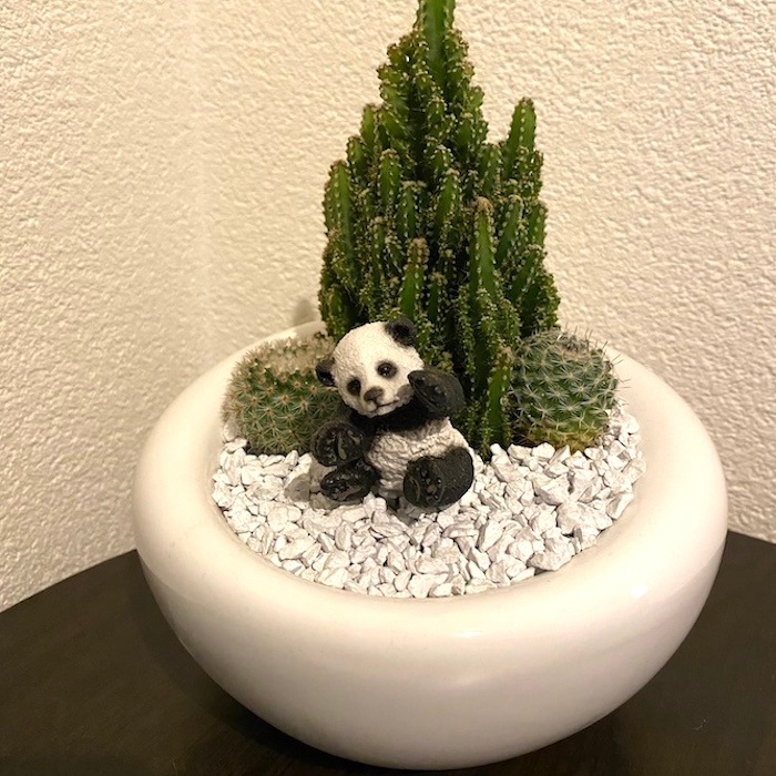 受注生産品 パンダ ぱんだ サボテン 観葉植物 インテリア グリーン ミニチュア かわいい 動物 フィギュア インテリア雑貨 観葉植物 三和ポチット 受注生産品 パンダ ぱんだ サボテン 観葉植物 インテリア グリーン ミニチュア かわいい 動物 フィギュア インテリア雑貨 観葉植物 三和ポチット
