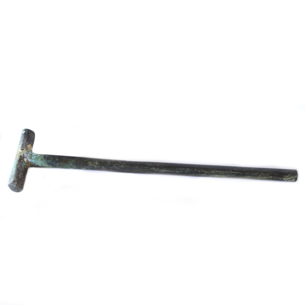 ��Ƽ�� �ҥ��奦 ��Ƽ 12y810 ��� ����ƥ����� ��ơ�� �ﵯʪ ��� ��ʪ �� �֤�ʪ ���֥��� ��ơ  ������ ����ƥꥢ