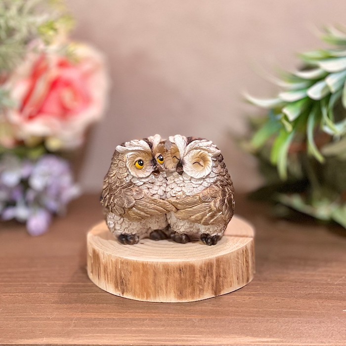 �ե����� �դ����� �� ʡϺ ������ �ߥߥ��� ���ɤ� ����ƥꥢ �����ǥ˥� �����ʥ��� ����ץ� ���襤�� ���� �̲� ����� ����� ��Ϸ���� KLXC-0015