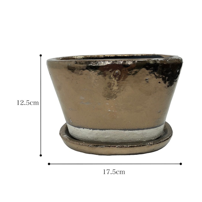 ����ꥪ�����Х�ݥå� 1718 �ץ�󥿡� ȭ ��ꤢ�� �ꤢ�� ������� �֥��� ������ơ��� �����ǥ˥� ������� �᥿��å� ����ץ� �ʱ� �󤻿���