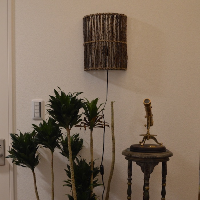 ������̵���ۥ֥饱�åȥ饤�� ���ߥ������� �饿�� �������� �ࡼ�ɥ饤�� �������� ���ܾ��� ���� ��ӥ� ���� ��������ƥ����� �ϥ�ɥᥤ�� ����