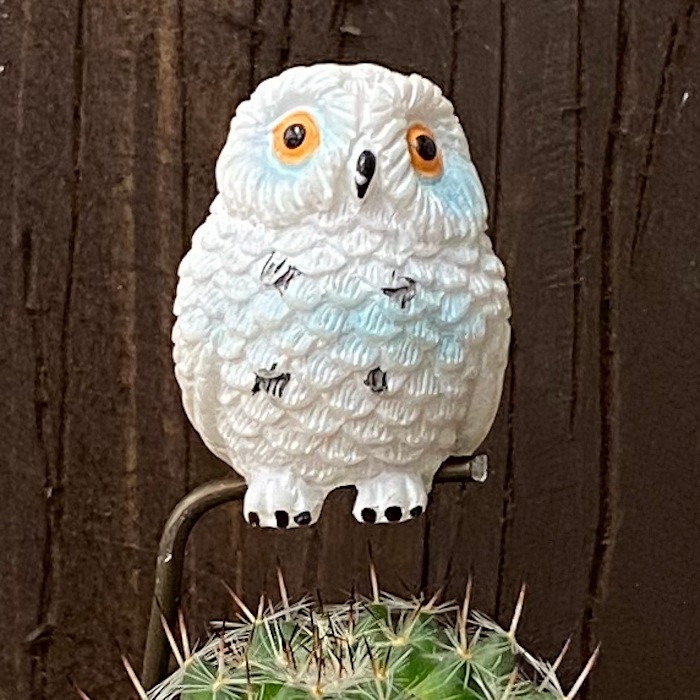 �ڼ��������ʡۤդ����� �ݥ��ܥƥ� sp-wh ���տ�ʪ  ���ܤƤ� �������� ����ƥꥢ ���꡼�� �ߥ˥��奢  ���襤�� ưʪ �ե����奢