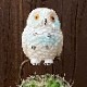�ڼ��������ʡۤդ����� �ݥ��ܥƥ� sp-wh ���տ�ʪ  ���ܤƤ� �������� ����ƥꥢ ���꡼�� �ߥ˥��奢  ���襤�� ưʪ �ե����奢