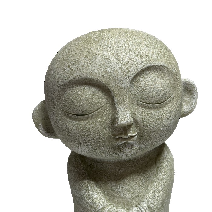 ����¢���� �� EV17503A ��̵�� ���襤�� �����ǥ�ե��˥��㡼 �����ʥ��� ��ʪ ���� �� ���� ���֥��� ����ƥꥢ �����ʥ��� ���� ����