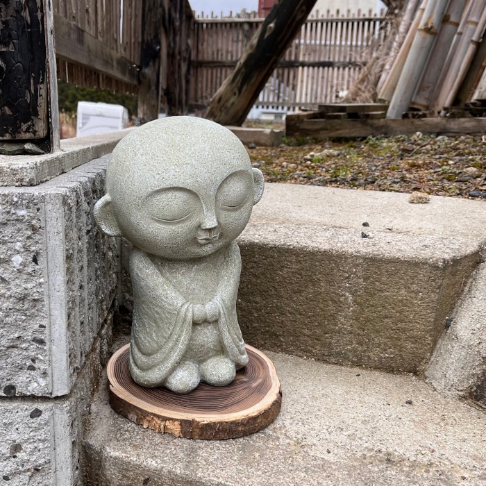 ����¢���� �� EV17503A ��̵�� ���襤�� �����ǥ�ե��˥��㡼 �����ʥ��� ��ʪ ���� �� ���� ���֥��� ����ƥꥢ �����ʥ��� ���� ����