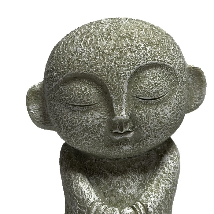 ����¢���� �� EV17504A ��̵�� ���襤�� �����ǥ�ե��˥��㡼 �����ʥ��� ��ʪ ���� �� ���� ���֥��� ����ƥꥢ �����ʥ��� ���� ����