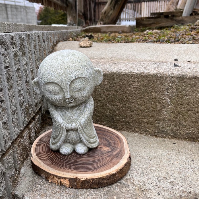 ����¢���� �� EV17504A ��̵�� ���襤�� �����ǥ�ե��˥��㡼 �����ʥ��� ��ʪ ���� �� ���� ���֥��� ����ƥꥢ �����ʥ��� ���� ����