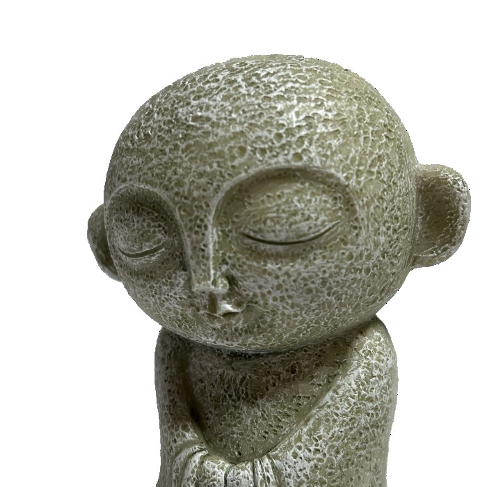 ����¢���� �� EV17505A ��̵�� ���襤�� �����ǥ�ե��˥��㡼 �����ʥ��� ��ʪ ���� �� ���� ���֥��� ����ƥꥢ �����ʥ��� ���� ����