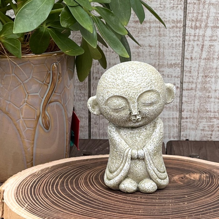 ����¢���� �� EV17505A ��̵�� ���襤�� �����ǥ�ե��˥��㡼 �����ʥ��� ��ʪ ���� �� ���� ���֥��� ����ƥꥢ �����ʥ��� ���� ����