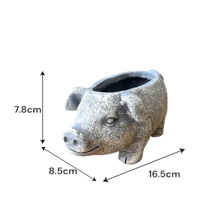 ���˥ޥ�ݥå� �֥� �� �֤� �ե��ݥå� ȭ ����ȭ  ȭ��ꤢ�� �ɤ��֤� ���襤�� �����ǥ˥� �����ǥ� ��� sanpoti-2517