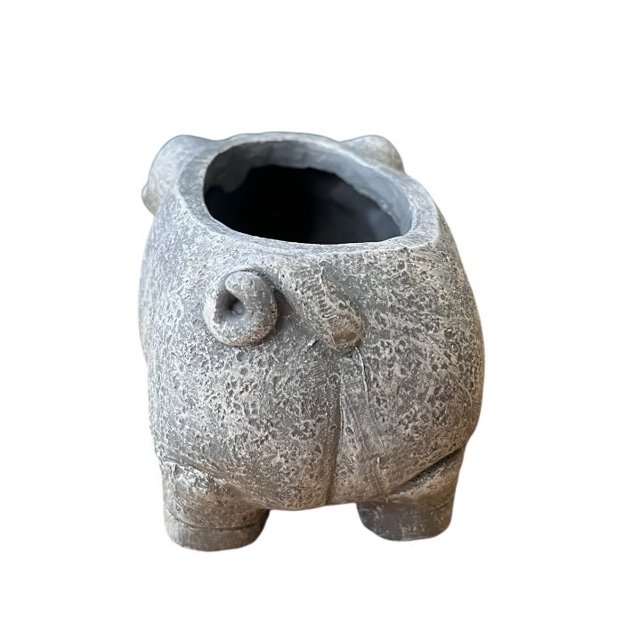 ���˥ޥ�ݥå� �֥� �� �֤� �ե��ݥå� ȭ ����ȭ  ȭ��ꤢ�� �ɤ��֤� ���襤�� �����ǥ˥� �����ǥ� ��� sanpoti-2517