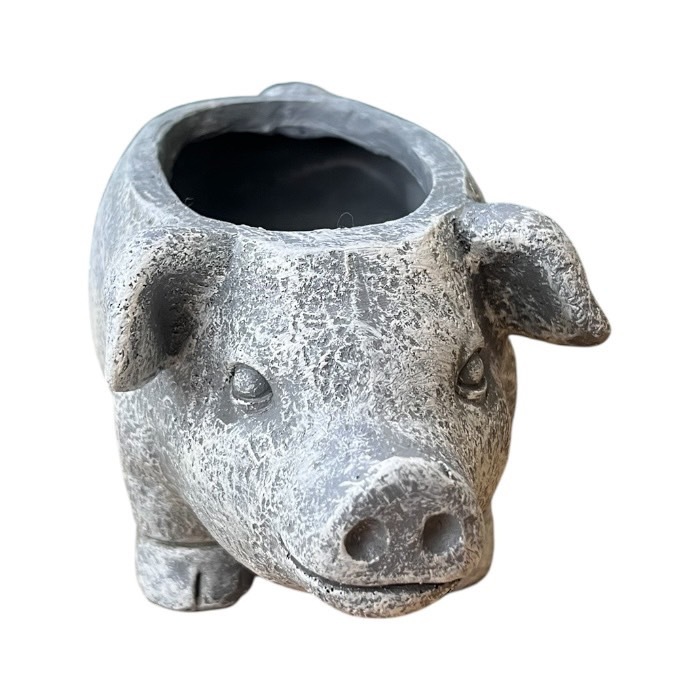 ���˥ޥ�ݥå� �֥� �� �֤� �ե��ݥå� ȭ ����ȭ  ȭ��ꤢ�� �ɤ��֤� ���襤�� �����ǥ˥� �����ǥ� ��� sanpoti-2517