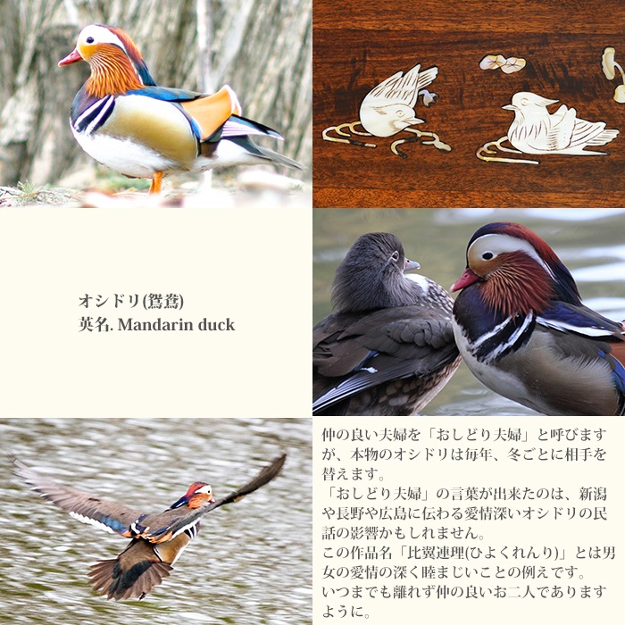 �������꾮��(��) ��� �ﵯʪ ��Ǥ� ���� ���󥳥����祦 ����Ļ �� �� �����ɥ� ʡ �� ������ ���� ���� SE011914 �ץ�ߥ��� £��ʪ �ץ쥼���