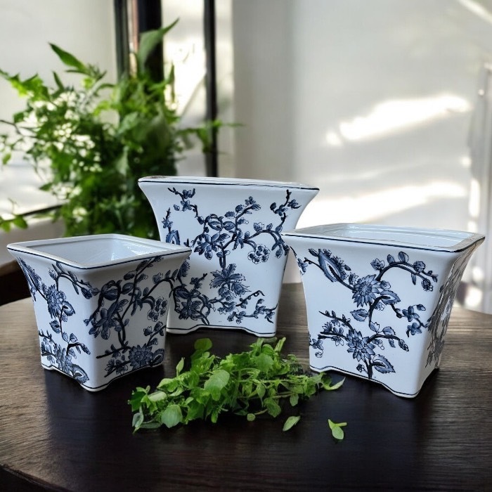 ������ ƫ�� �Ĳ�ȿ������ȭ���С� ���澮���å� �ץ�󥿡� ���� �󤻿��� �����ǥ˥� ��� ����� ��Ϸ���� �ץ쥼��� ���ե� £��ʪ CF1161