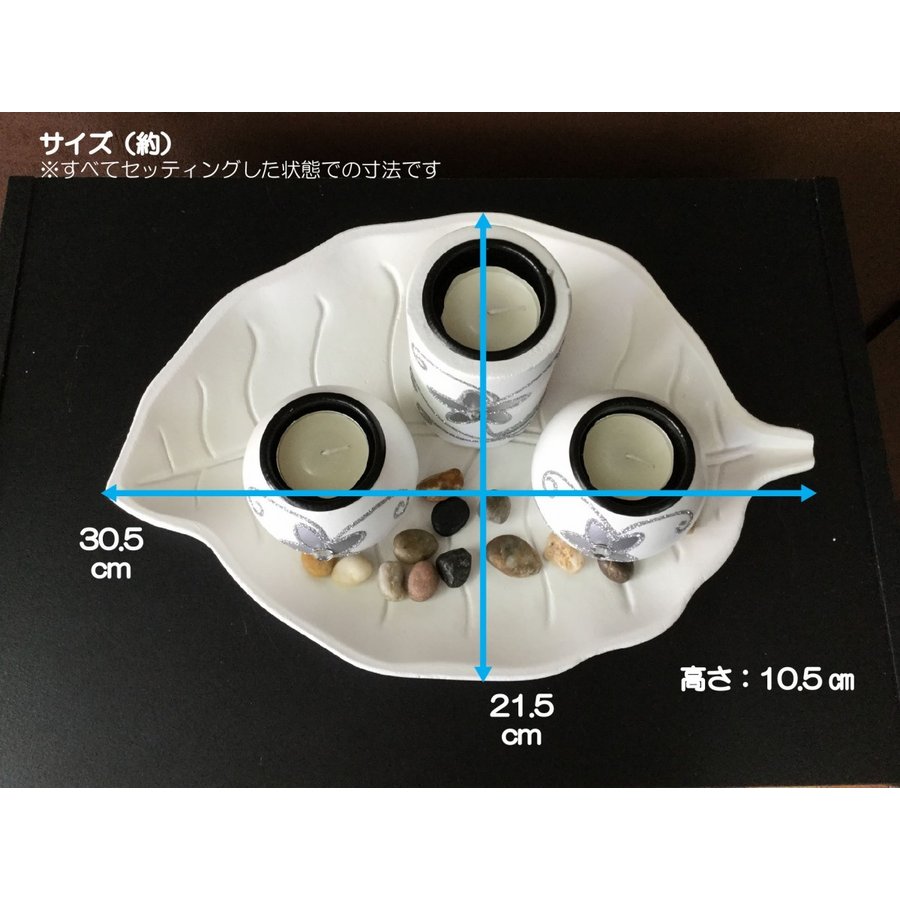 �����ɥ�ۥ�����������ɥ륹����ɡ��������꡼�������ƥ����饤�ȥ����ɥ롡�����������������󻨲� ����̵��