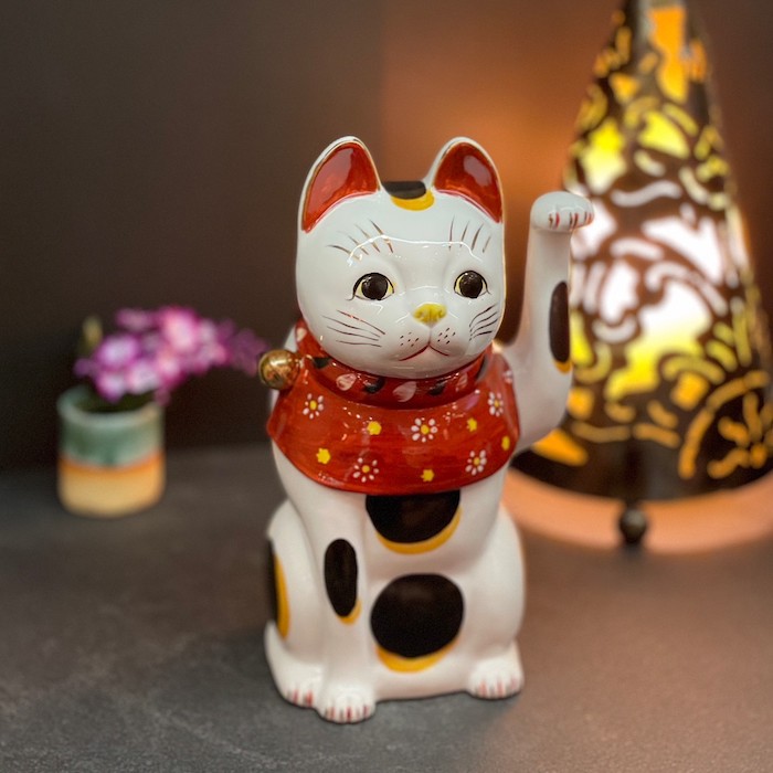 ֳ֥ǭ    87323-579 ǭ ƫ ֥ ե ǭ ͥ ޤͤǭ 襤  ʡ Ɀ    ƥꥢ ֤ʪ