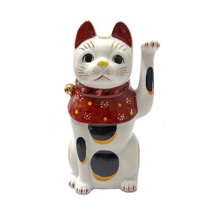 ֳ֥ǭ    87323-579 ǭ ƫ ֥ ե ǭ ͥ ޤͤǭ 襤  ʡ Ɀ    ƥꥢ ֤ʪ