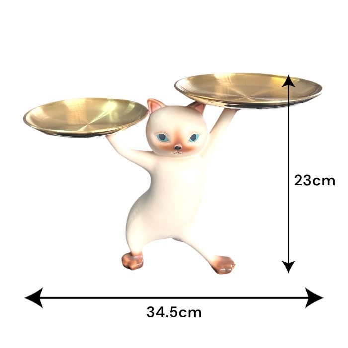 ͥΥȥ쥤 ʪ ꡼ȥ졼 Ǽȥ쥤  ʪ֤ Ǽ  ͤ ͥ 501957