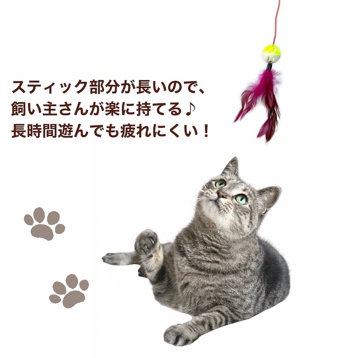 ǭ����餷 5�ܥ��å� �ͤ�����餷 ����̵�� ǭ�� ǭ�Τ������  ���� �� ǭ���� �ڥå����� ǭ������� ���ȥ쥹��� ��ư��­ Ļ�α�  ��� ����ե�