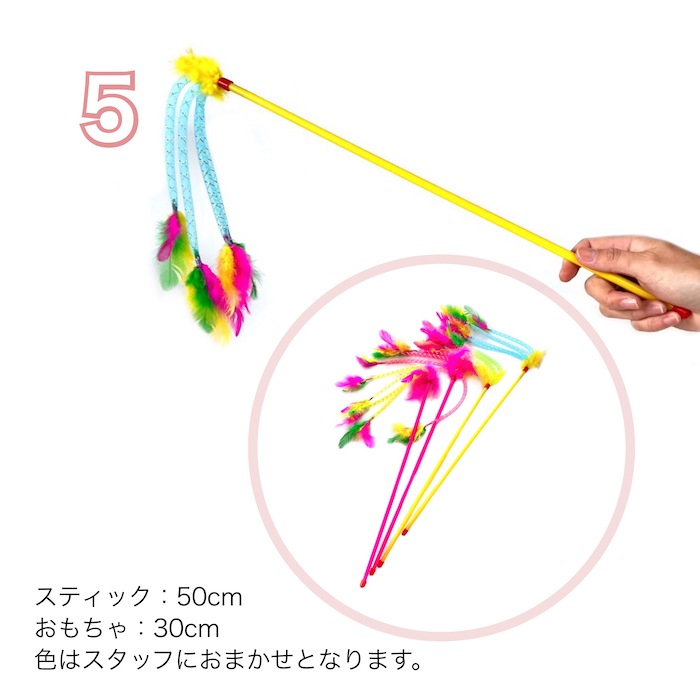 ǭ����餷 5�ܥ��å� �ͤ�����餷 ����̵�� ǭ�� ǭ�Τ������  ���� �� ǭ���� �ڥå����� ǭ������� ���ȥ쥹��� ��ư��­ Ļ�α�  ��� ����ե�