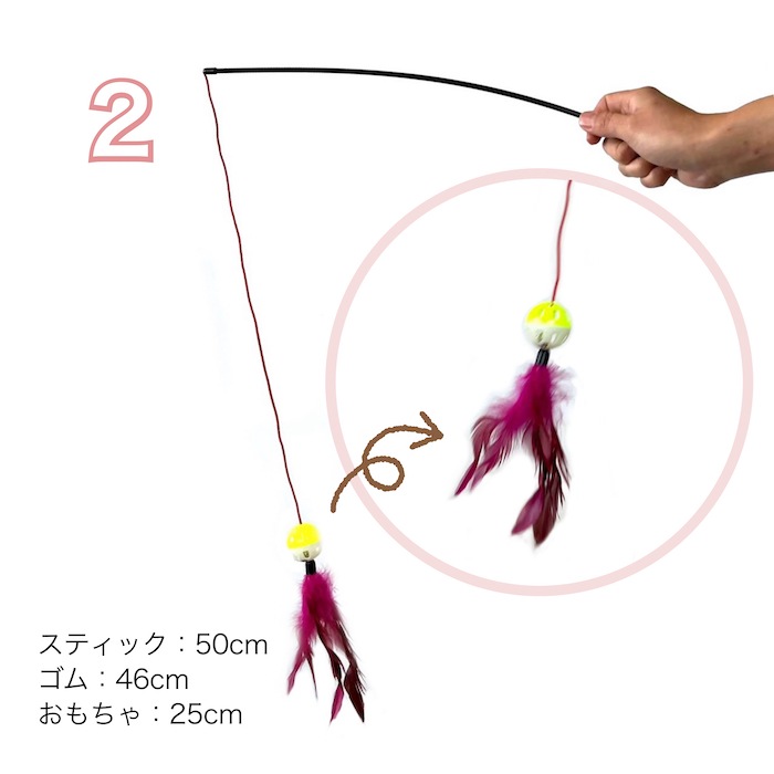 ǭ����餷 5�ܥ��å� �ͤ�����餷 ����̵�� ǭ�� ǭ�Τ������  ���� �� ǭ���� �ڥå����� ǭ������� ���ȥ쥹��� ��ư��­ Ļ�α�  ��� ����ե�