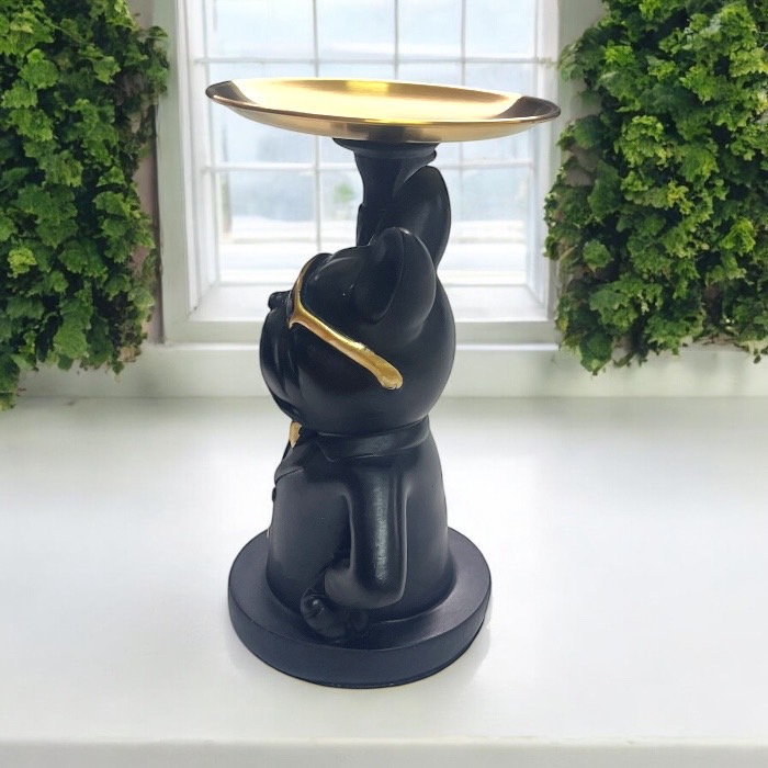 ֥ɥåΥȥ쥤 ʪ  ֥å  󥰥饹 ꡼ȥ졼 Ǽȥ쥤  ʪ֤ Ǽ    675375