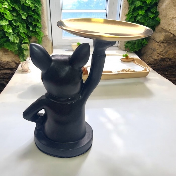 ֥ɥåΥȥ쥤 ʪ  ֥å  󥰥饹 ꡼ȥ졼 Ǽȥ쥤  ʪ֤ Ǽ    675375