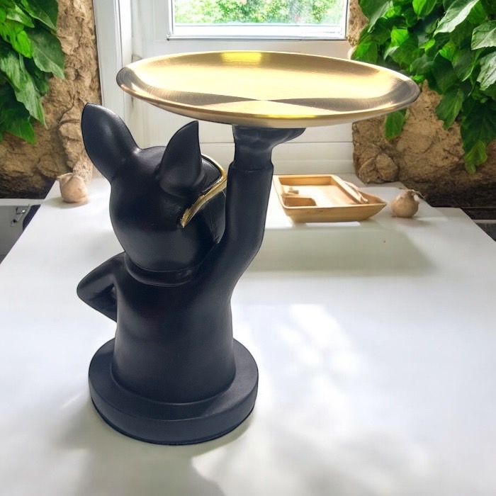 ֥ɥåΥȥ쥤 ʪ  ֥å  󥰥饹 ꡼ȥ졼 Ǽȥ쥤  ʪ֤ Ǽ    675375