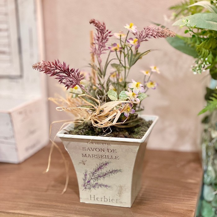 �ե������ herbler  ����ƥꥢ���꡼�� �ե��������꡼�� �ե������ե� ����ӡ�����ƥ����� �ե��� ������� ���襤�� ���ե� ����ƥꥢ ���֥���