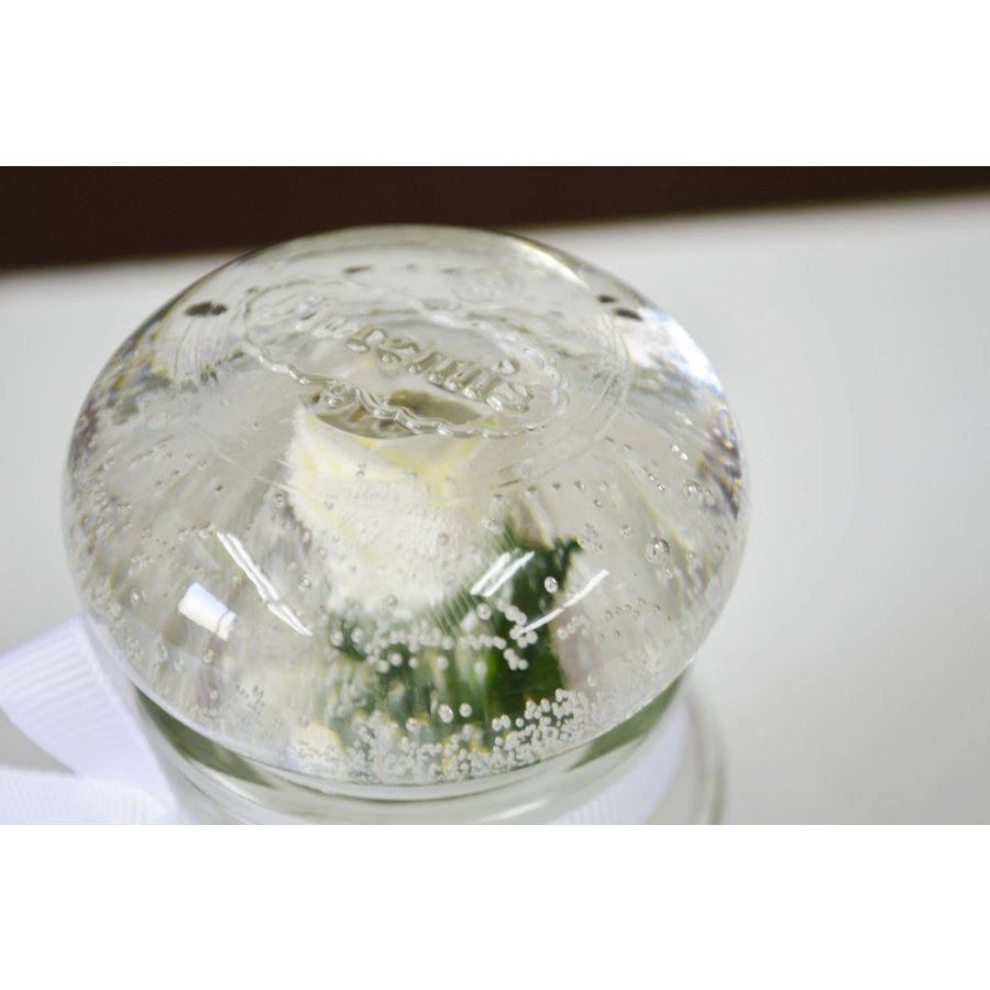 �����ޥ����ɥ� ���饹�ƴ����� �������� �ե쥰��󥹥����ɥ� ���ꥹ�ޥ������ɥ� �����ɥ� ���襤�� �������