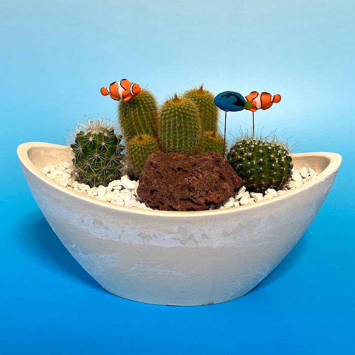 受注生産品 魚 アクアリウム Su 03jw3 ニモ ドリー 夏 さぼてん カクタス インテリア グリーン ミニチュア かわいい 動物 フィギュア インテリア雑貨 観葉植物 三和ポチット