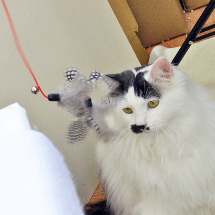 ǭ����餷 ��� �ɥå� 083-094 �֥�å� �� ������� ��� ǭ�Υ��ȥ쥹��� ǭ���å� ǭ��ͷ�� ��ǭ ���ȥ� ǭ�Ѥ������ ���� ����