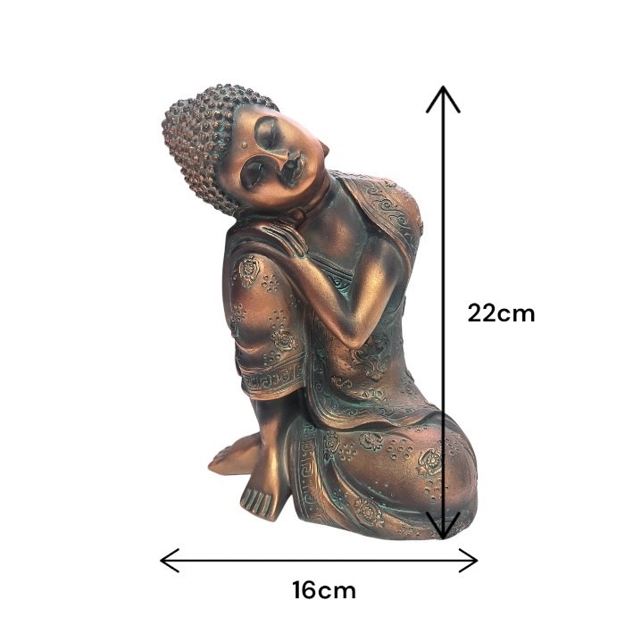 ʩ ¼ δ  ʩ ʩ   ¤餮 ƥꥢ ʪ ֥ 162301
