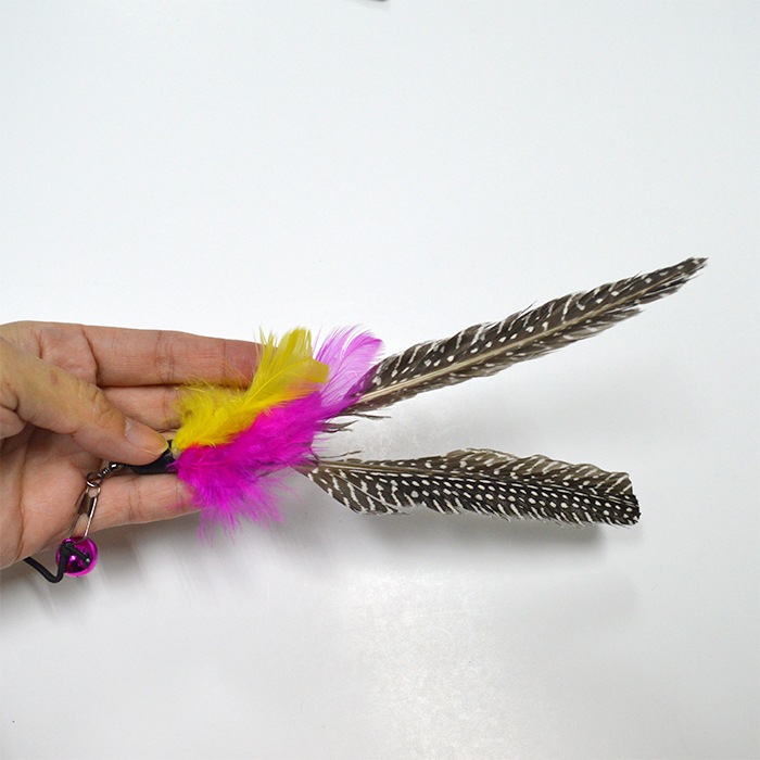 ǭ����餷 ���� 083-092 �ԥ� ���� ������� ��� ǭ�Υ��ȥ쥹��� ǭ���å� ǭ��ͷ�� ��ǭ ���ȥ� ǭ�Ѥ������ ���� ����