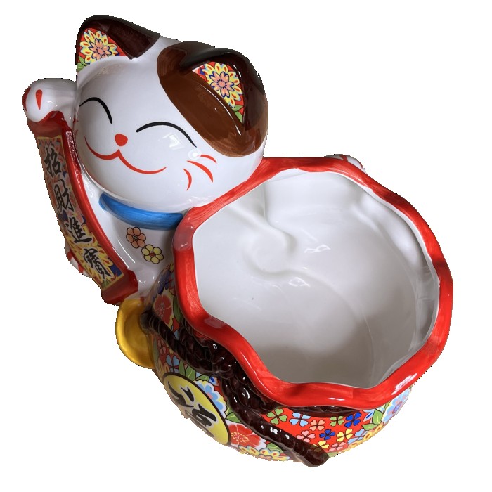 ʡ޻ǭ ޤͤǭ  ͥ ͤ ʪ Źˤ Ƚˤ д ʡ  Ɀ  AU24020