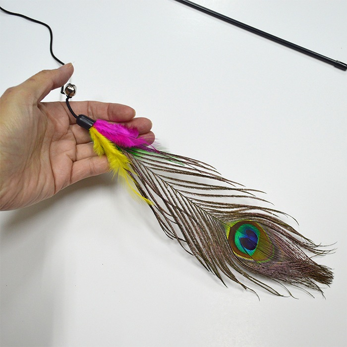 ǭ����餷 �����α��� 083-093 �ԥ� ���� ������� ��� ǭ�Υ��ȥ쥹��� ǭ���å� ǭ��ͷ�� ��ǭ ���ȥ� ǭ�Ѥ������ ���� ����