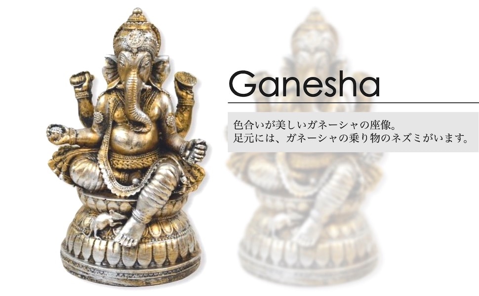 �ﵯʪ ����ɤο��� ���͡��������ʪ ���͡����� ��ʪ ���͡������� ̴��𤨤�� �Ɀ���å� ���� ���� �������� �������� �ҥ�ɥ������ο��� �ݤο��� ���ʥѥƥ� ����ŷ ��ŷ J18079