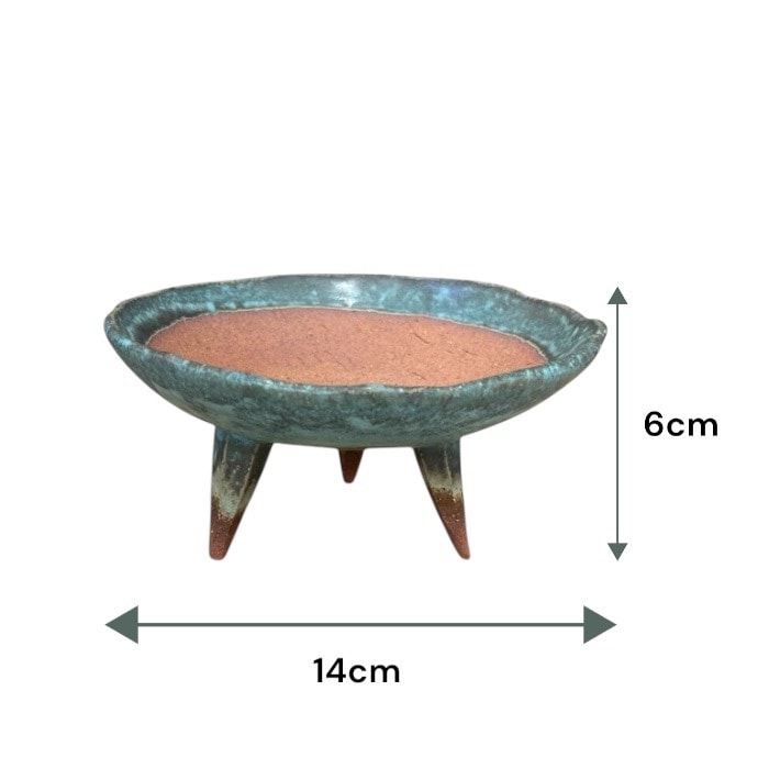 ���ھ� 4.5�� �����ع�­����ȭ �ߺ� �ߺ�ȭ �ߺ� �� ���� ��ŵ �� ������ ������ʪ ¿����ʪ �ݶ� ���տ�ʪ ���ܥƥ� ȭ ƫ��ȭ ���� ���꡼�� 9070-04