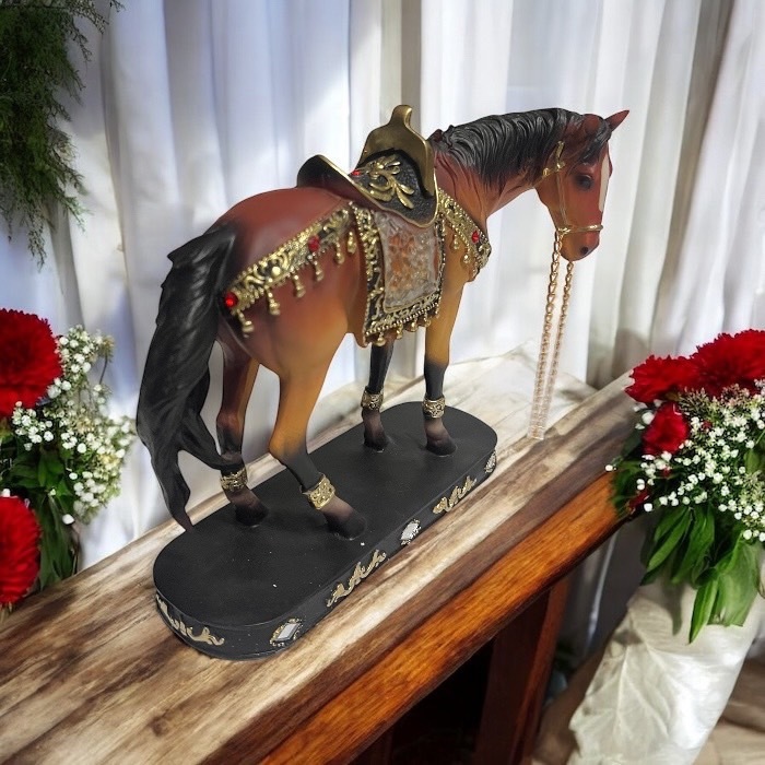 ���Ӥ��� ������ �ѥ졼�� ���륨�å� ����ƥꥢ ���֥��� ��ʪ ��鴶 ���ե��� ��ӥ� 17272-1752