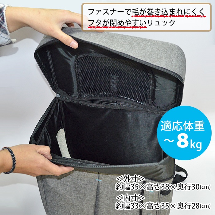 Liscio Cat ���å�����꡼ �ڥƥ��� �ڥå��ѥ���꡼�Хå�������꡼���å� �ڥåȥХå� ���졼 �ͥ��ӡ� ���� ǭ�� ������  ����̵�� 83556-7