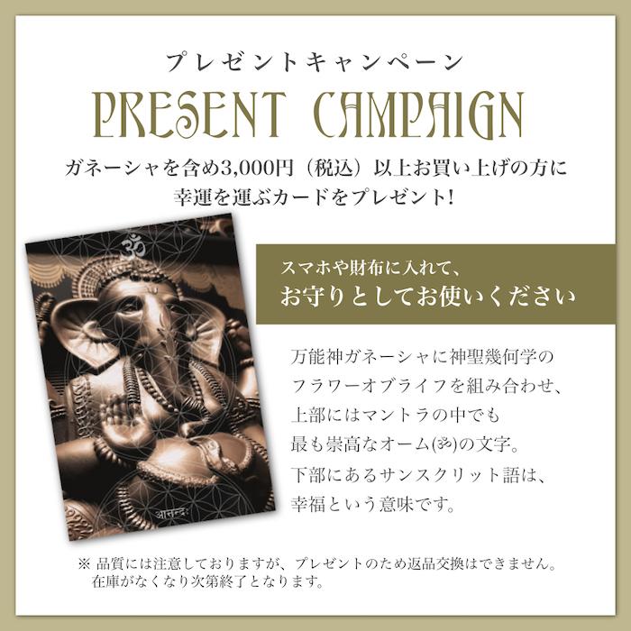 ���͡����� ������� ���饭�� �ضȸ��� �������� ���� �ҥ�ɥ������ο��� �ݤο��� ���ʥѥƥ� ����ŷ ��ŷ ���� ���� ���֥��� ��ʪ �������󻨲� 66670-1791