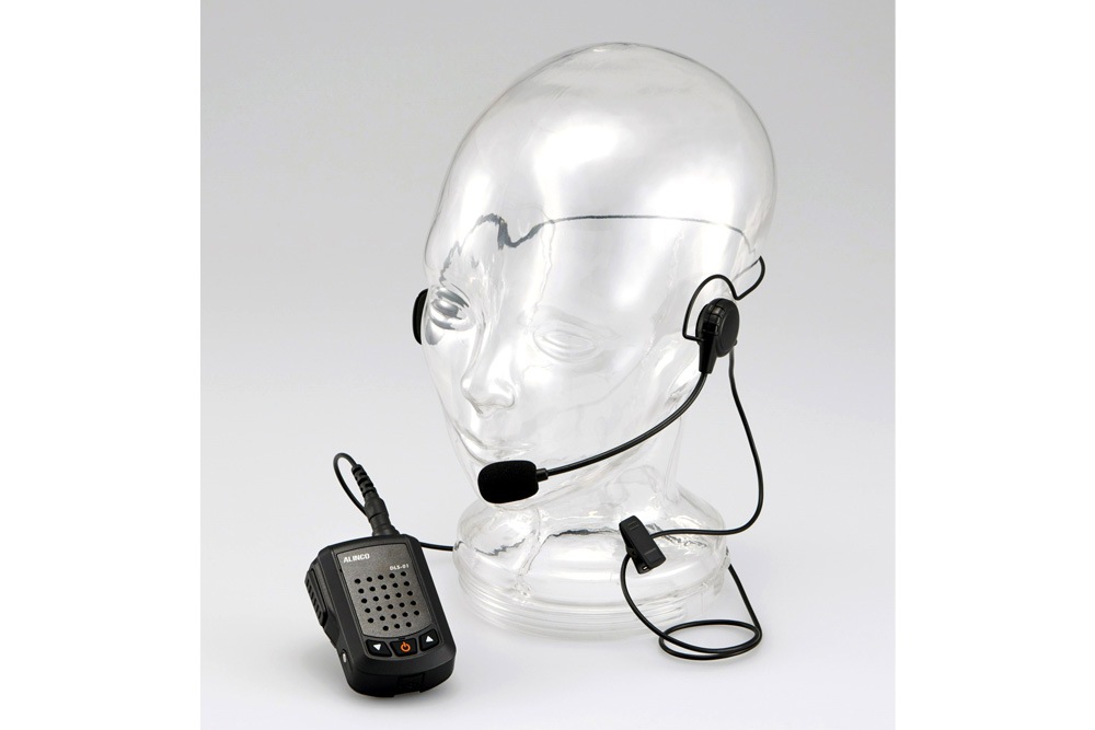 ���륤�� �ϥ󥺥ե꡼������ DLS-01