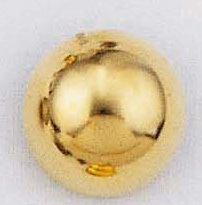 �ץ������Ⱦ��