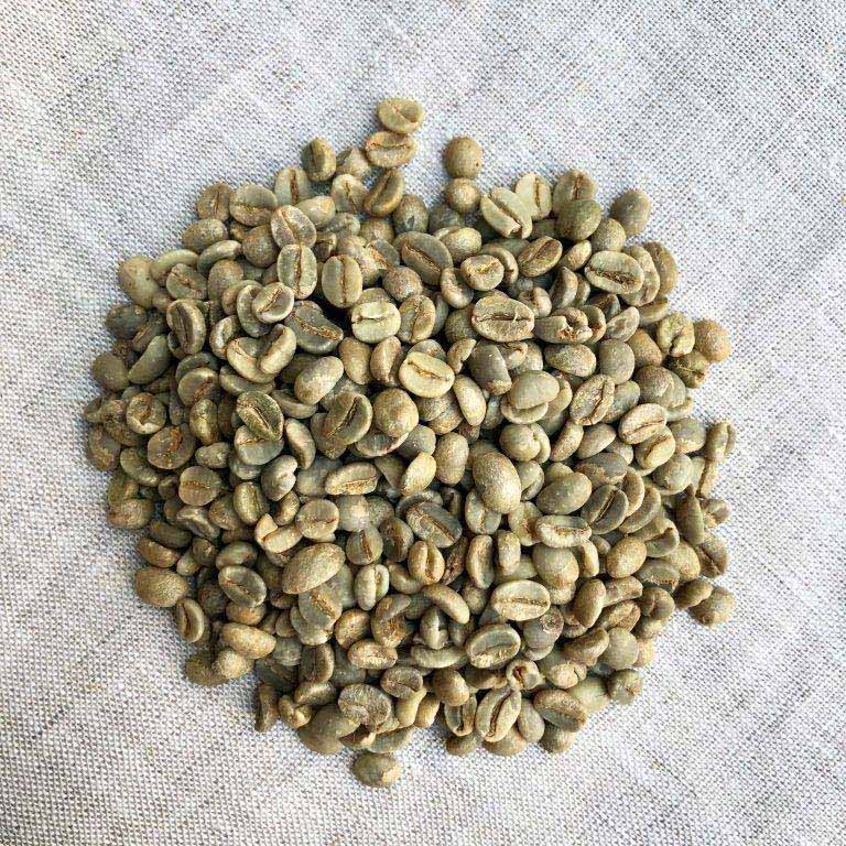 生豆 タンザニアAB 1kg | 生豆 | 【公式直販】SAO PAULO COFFEE