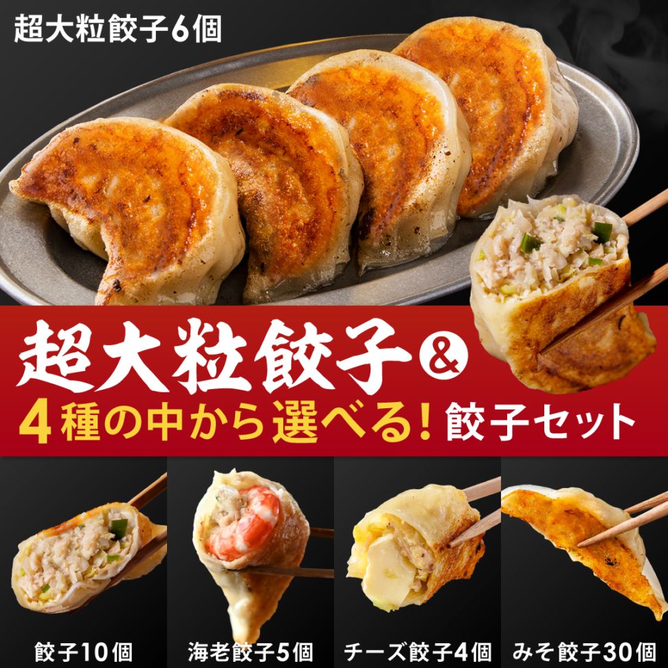手作り焼き餃子！期間限定お得！約30g✖︎100個 『超ド級』手